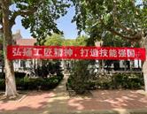 继续浏览
