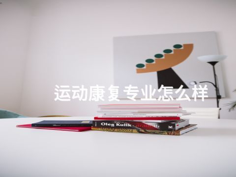 运动康复专业怎么样(图1) 承德电子商务专业是干嘛的