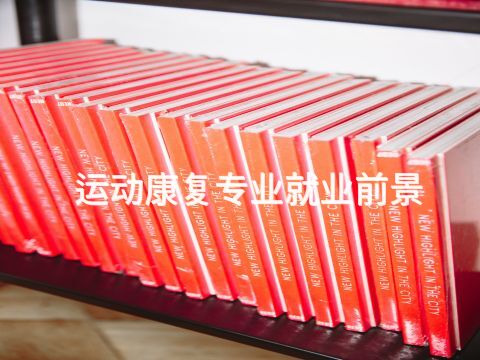 运动康复专业就业前景(图1) 承德电子商务专业是干嘛的